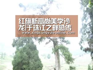 红旗新高尚美学沙龙|于珠江之畔感传承,游南粤之都探创新_xingkongyule(图2) 星空体育网站