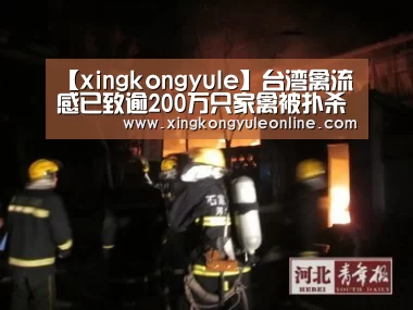 【xingkongyule】台湾禽流感已致逾200万只家禽被扑杀(图1) 【xingkongyule】台湾禽流感已致逾200万只家禽被扑杀(图1)