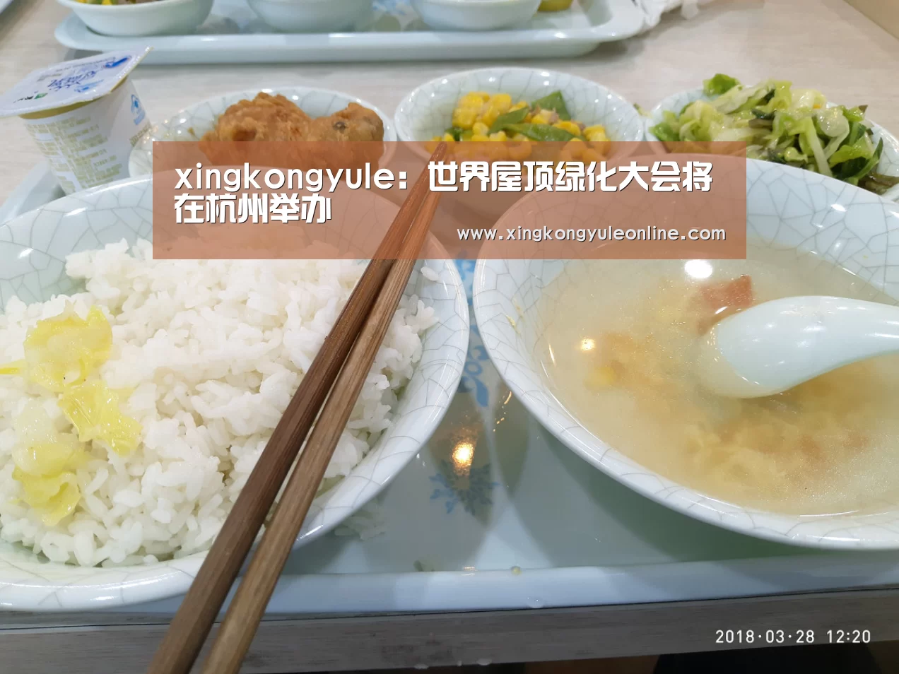 xingkongyule:世界屋顶绿化大会将在杭州举办(图3) 星空体育