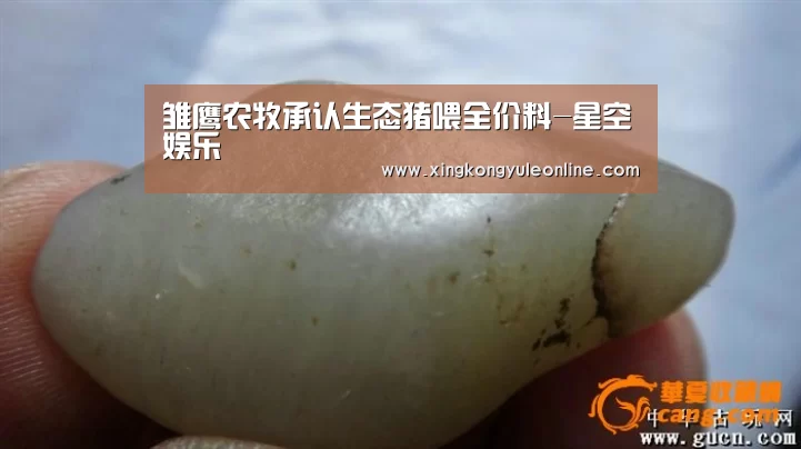 雏鹰农牧承认生态猪喂全价料-星空娱乐(图2) 雏鹰农牧承认生态猪喂全价料-星空娱乐(图2)