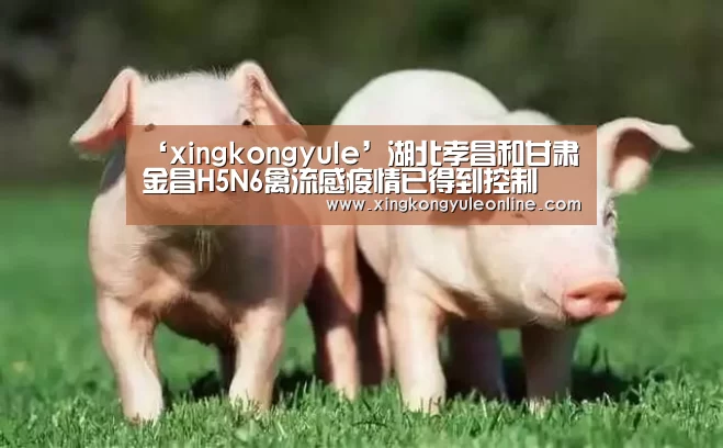 星空娱乐