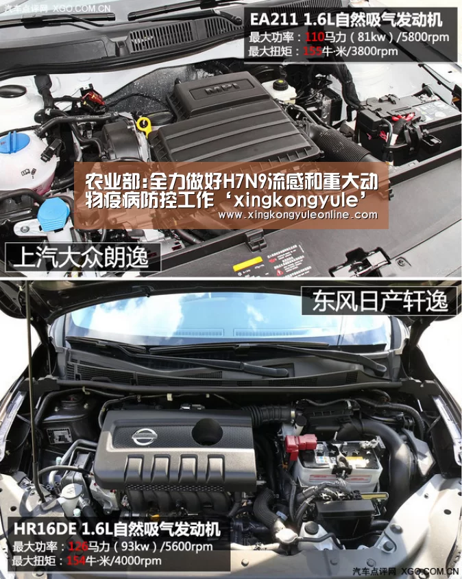 农业部:全力做好H7N9流感和重大动物疫病防控工作‘xingkongyule’(图4)